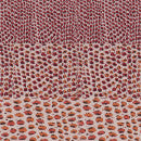 Carica l&#39;immagine nel visualizzatore di Gallery, Copriletto Trapuntato CHROMO PRINT Gabel
